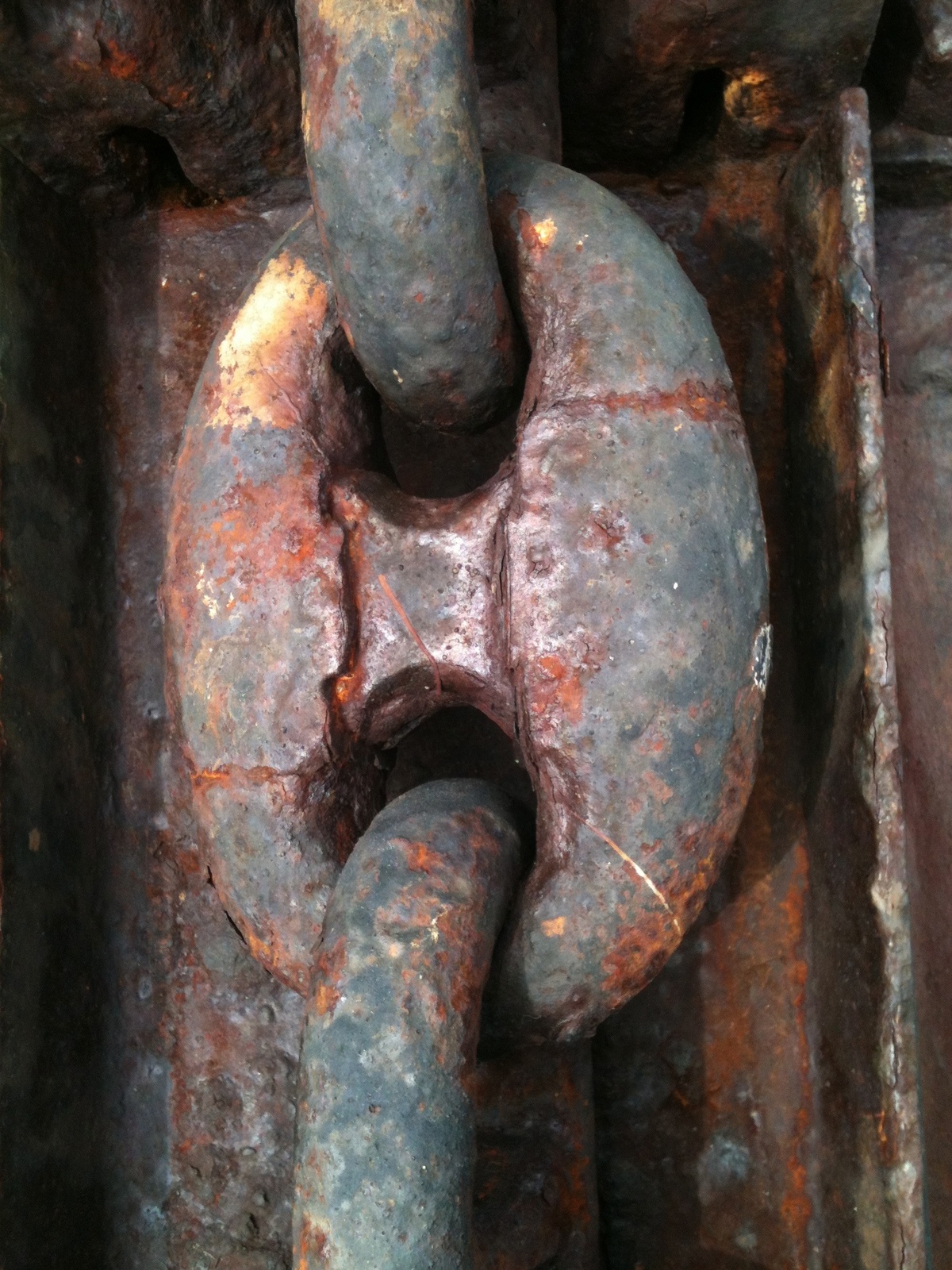 A rusted anchor chain link