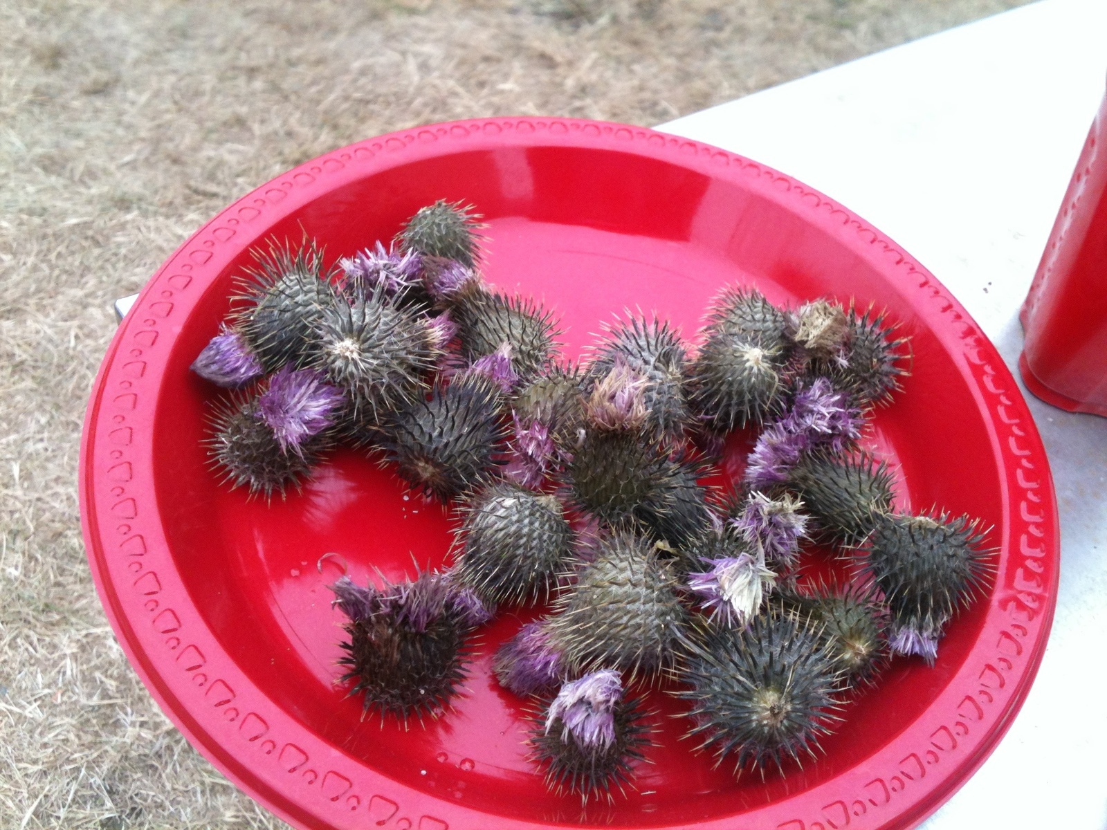 Thistles
