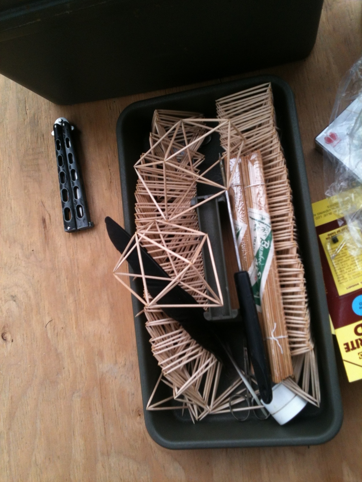 Geodesic crafts with toothpicks