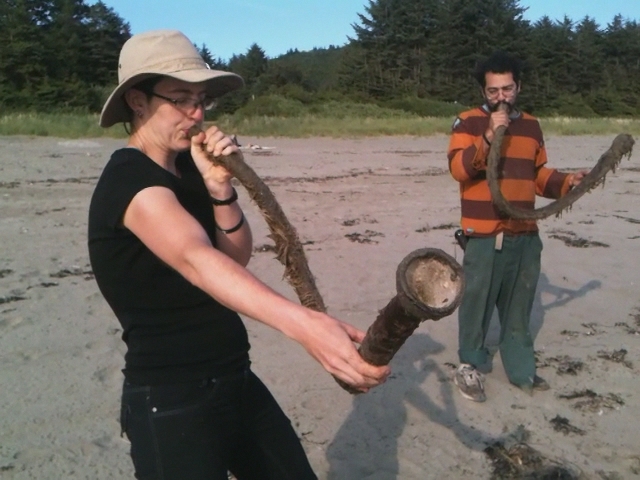 seaweedgideridoos2